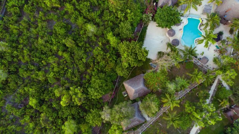 Pemba Island: Eco Lodge Tour with Sandbank Picnic - Who Should Consider This Tour?