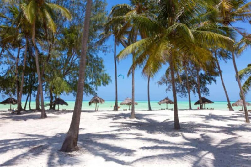 Pemba Island: Ngezi Forest and vumawimbi beach Tour - Key Points