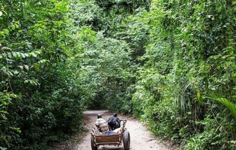 Pemba Island: Ngezi Forest and vumawimbi beach Tour - FAQ