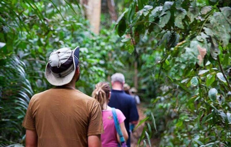 Pemba Island: Ngezi Forest Tour - Final Thoughts