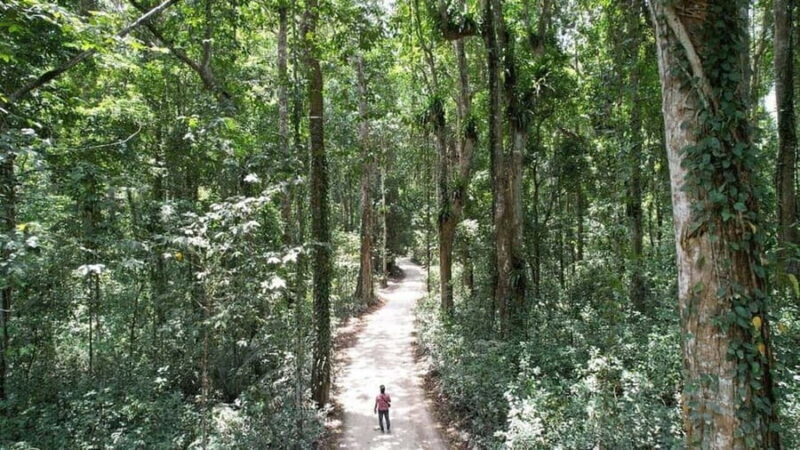 Pemba Island: Ngezi Forest Tour - FAQ