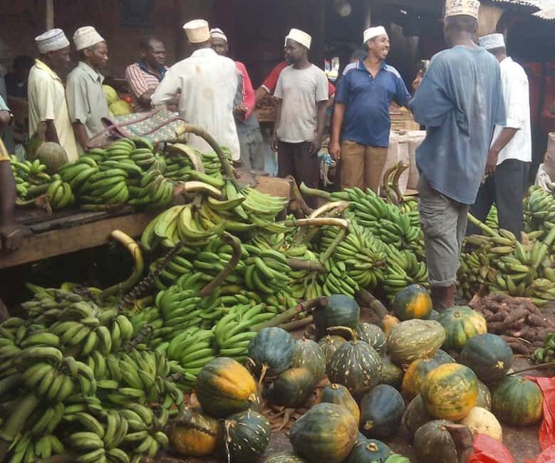 Pemba Island: Spice Farm, Chake Chake & Mkama Ndume Tour - Introduction: Why This Tour Matters