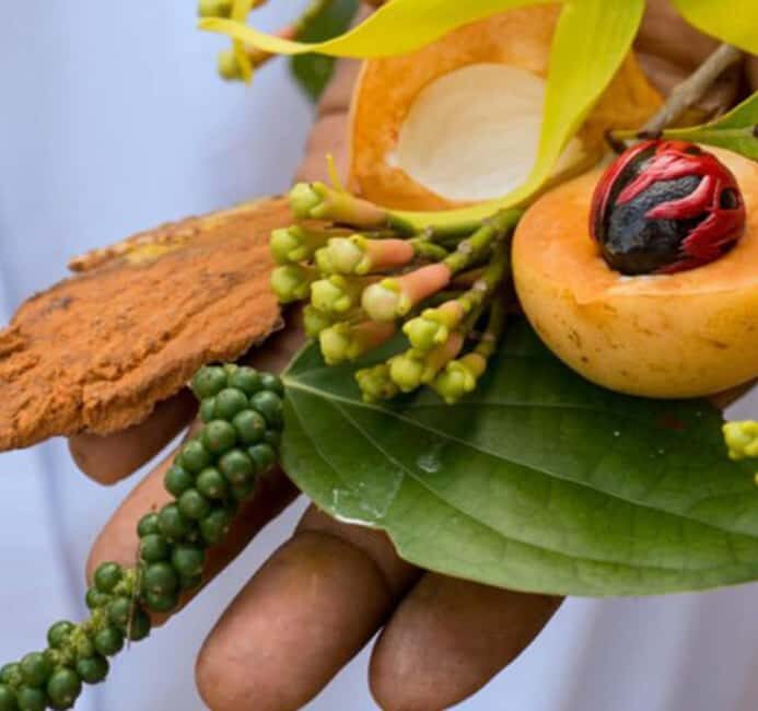 Pemba Island: Spice Farms Tour - Who Will Love This Tour?