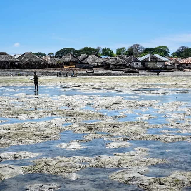 Pemba: Kojani Island Tour with Boat Ride and Village Walk - Exploring Kojani Island from Pemba: A Genuine Glimpse into Swahili Coastal Life