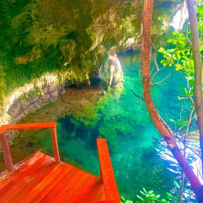 Pemba: Mystical Caves and Spice Forest Adventure - Exploring the Tour: A Step-by-Step Breakdown
