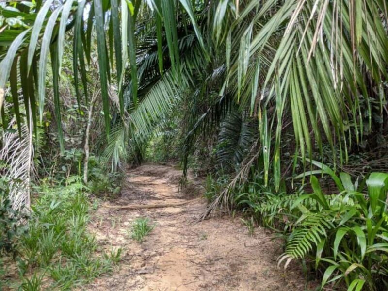 Pemba: Mystical Caves and Spice Forest Adventure - FAQ: Your Practical Questions Answered