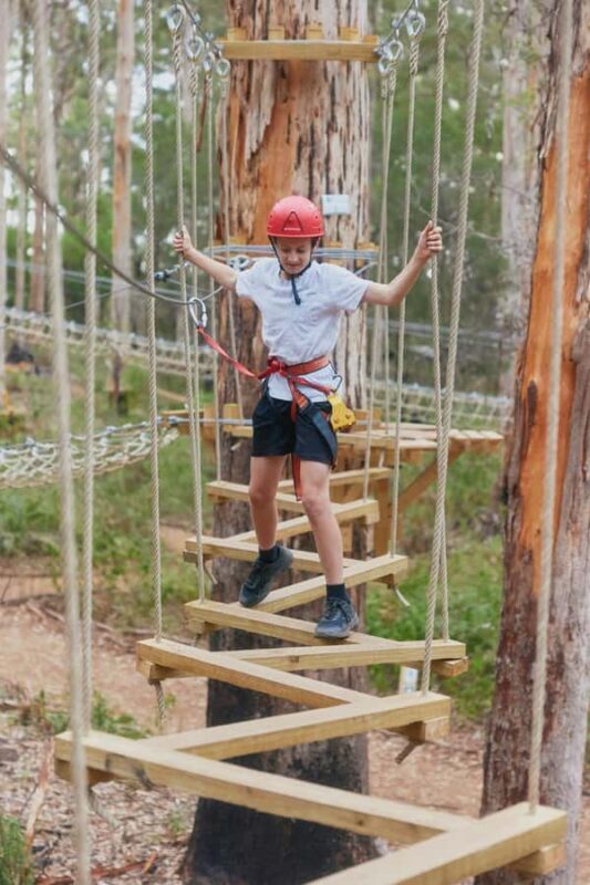 Pemberton: 1 Hour Explorer Pass with Ziplines and High Ropes - An Overview of the Experience