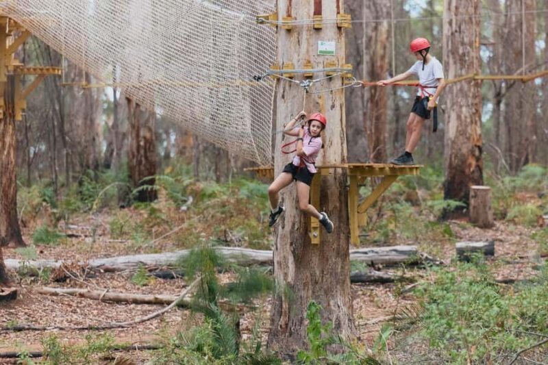 Pemberton: 1 Hour Explorer Pass with Ziplines and High Ropes - What to Expect: Step-by-Step