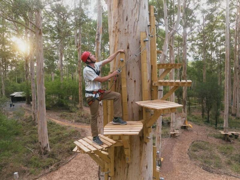Pemberton: 2.5h Ultimate Ziplines & High Ropes Experience - FAQs