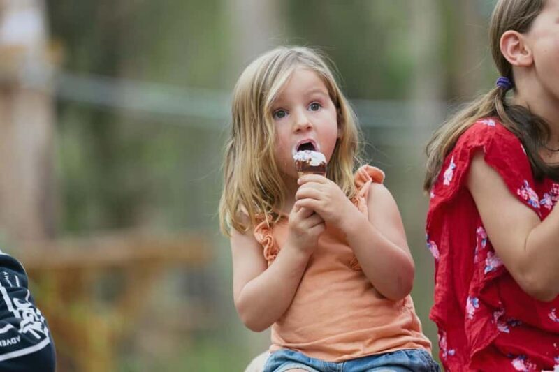 Pemberton: 40 minute Kookies Pass with Zip Lines & Low Ropes - An Honest Look at the Kookies Pass Adventure