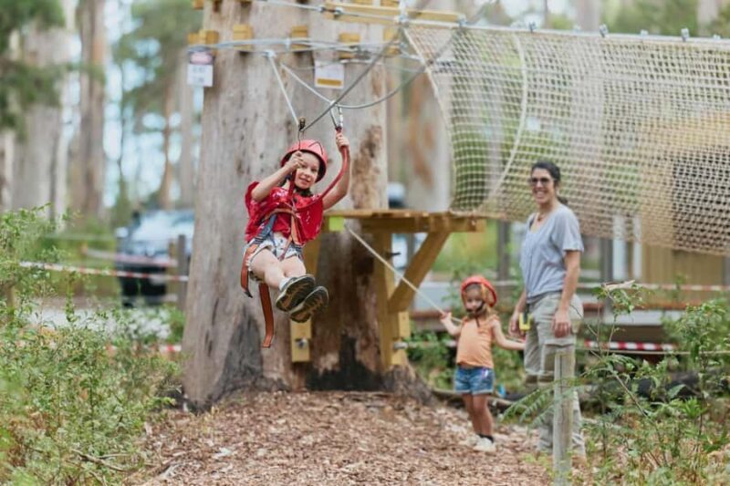 Pemberton: 40 minute Kookies Pass with Zip Lines & Low Ropes - The Sum Up: Is It Worth It?