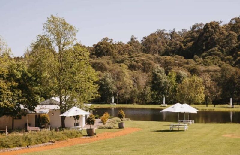 Pemberton: Ampersand Estates Wine Tasting Experience - Why This Experience Is Worth Your Time