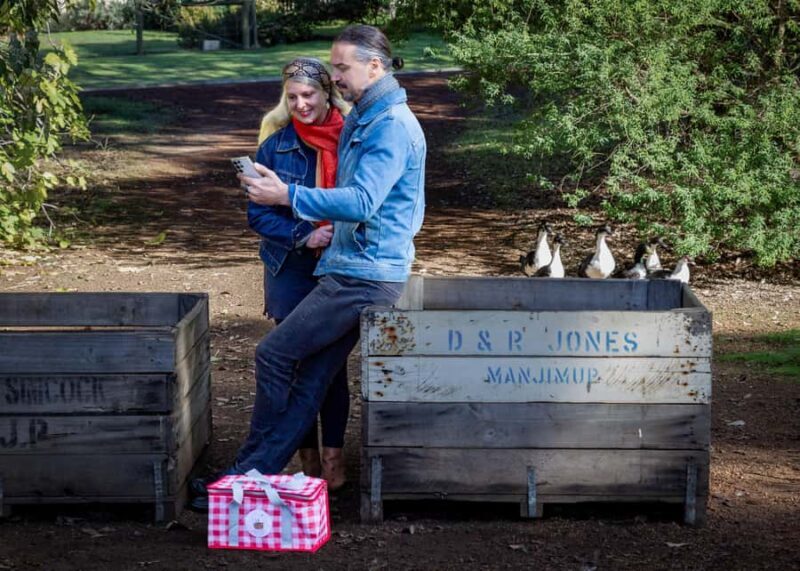 Pemberton: Secret Picnic Adventure with Digital Clues - Key Points