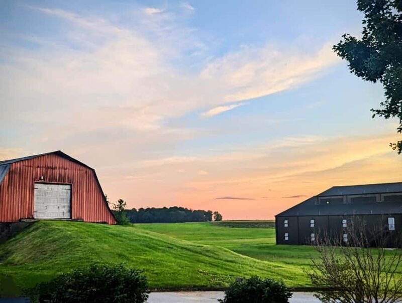 Pembroke: MB Roland Distillery Tour & Tasting - Considerations for Travelers