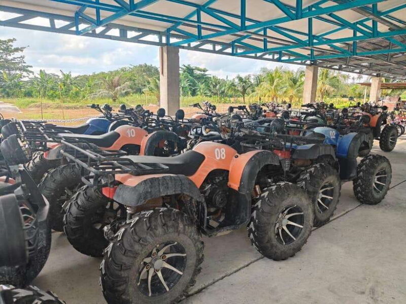 Penang: ATV Ride in Balik Pulau with Snacks and Transfers - Who Should Consider This Tour?