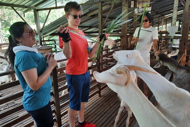 Penang Countryside Cycling Tour. PPA2 by Matahari - Final Thoughts: Is It Worth It?