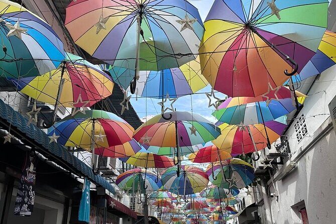 Penang Exciting Local Full Day Private Tour 8 Hours - What Makes This Tour Stand Out?