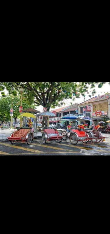 Penang: Shine Local Full Day Private tour 10-18pax(8Hours) - Real Traveler Feedback