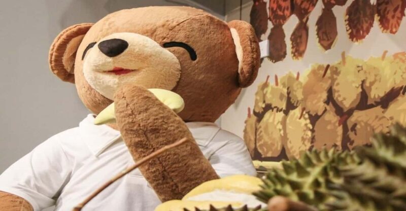 Penang: Teddyville Museum Entry Ticket - Practical Details and Visitor Tips