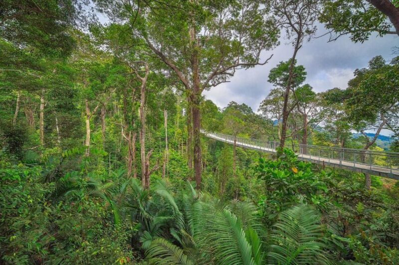 Penang: The Habitat Penang Hill Entry Ticket - Key Points
