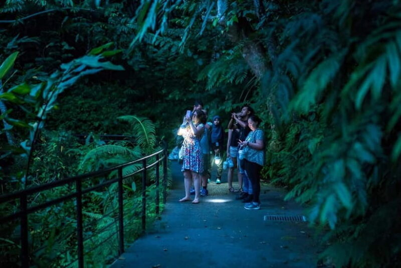 Penang: The Habitat Penang Hill Entry Ticket - A Closer Look at The Habitat Penang Hill Experience