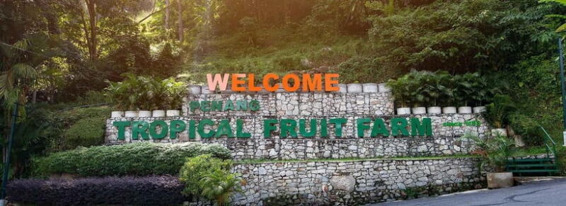 Penang: Tropical Fruit Farm Ticket - Analyzing the Value