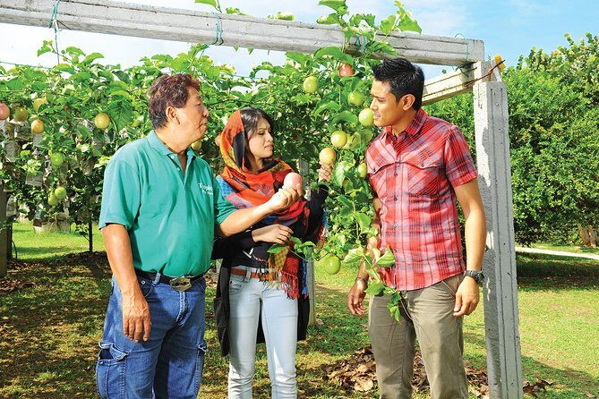 Penang Tropical Fruit Farm with Fruit Tasting - Penang Tropical Fruit Farm with Fruit Tasting: An Authentic Nature and Food Experience