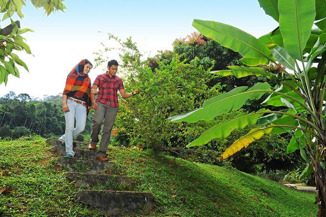 Penang Tropical Fruit Farm with Fruit Tasting - FAQ