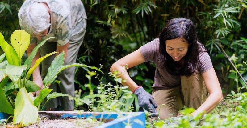 Penang: Tropical Spice Garden Entrance Ticket & Guided Tours - Introduction