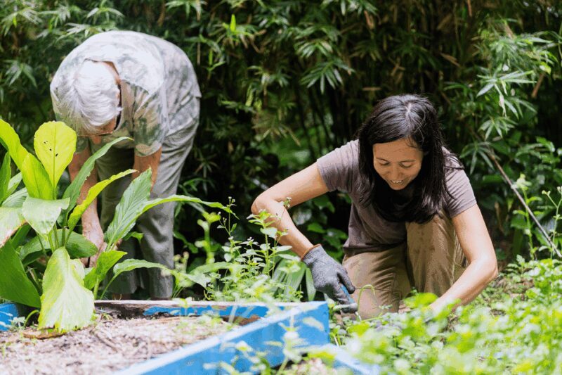 Penang: Tropical Spice Garden Entrance Ticket & Guided Tours - Key Points