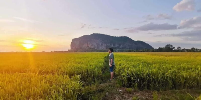 Penang:Full-Day Tour to Kedah with Local Guide and Driver - Key Points