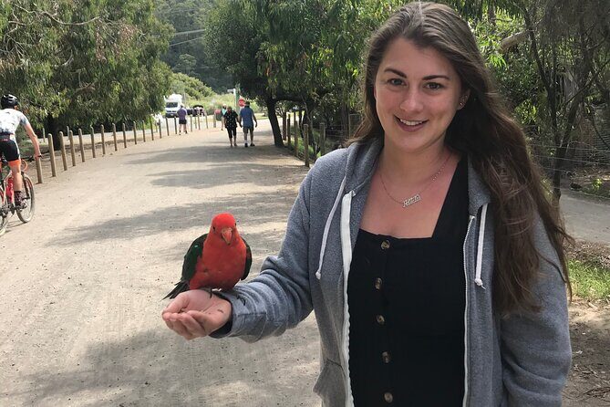 Penguin and Australian Animals Private Tour - What’s Included and Whats Not?