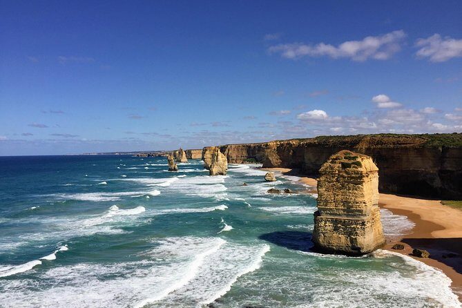 Penguin and Australian Animals Private Tour - Who Should Book This Tour?