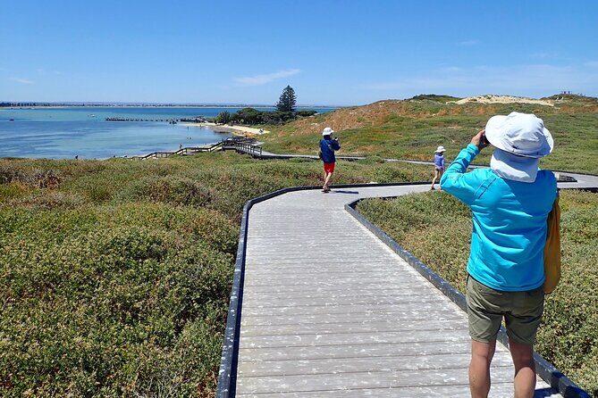 Penguin and Seal Islands Sea Kayaking Experience - Introduction