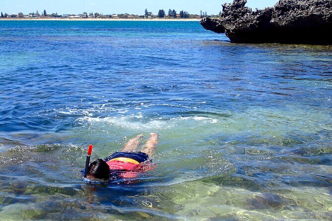 Penguin and Seal Islands Sea Kayaking Experience - FAQ