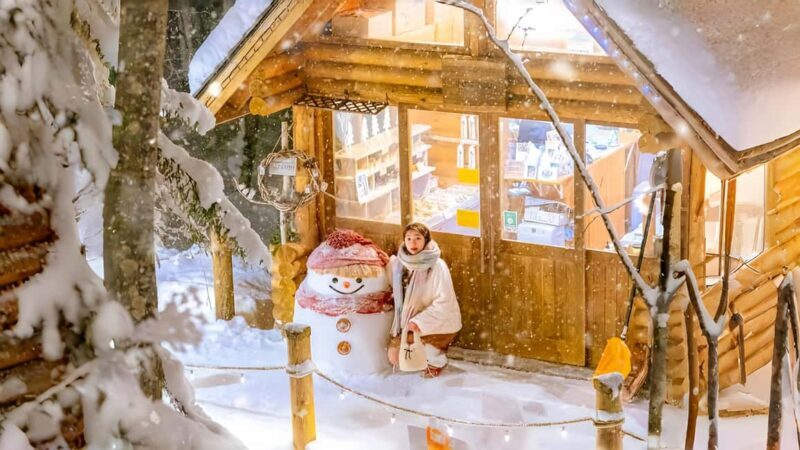 Penguin Fun & Snowmobile : Sapporo Winter (Asahiyama Zoo) - Key Points