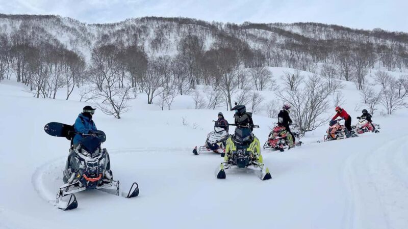 Penguin Fun & Snowmobile : Sapporo Winter (Asahiyama Zoo) - Final Thoughts