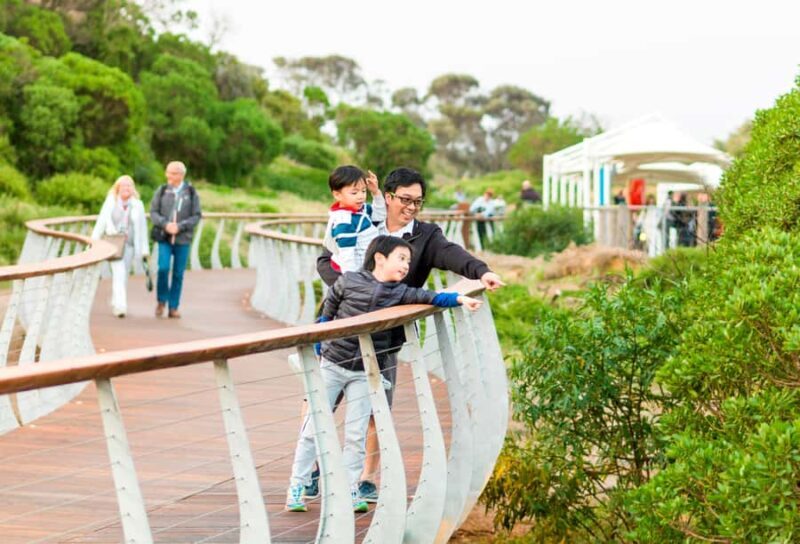 Penguin Parade: General Viewing Ticket - An In-Depth Look at the Penguin Parade Experience