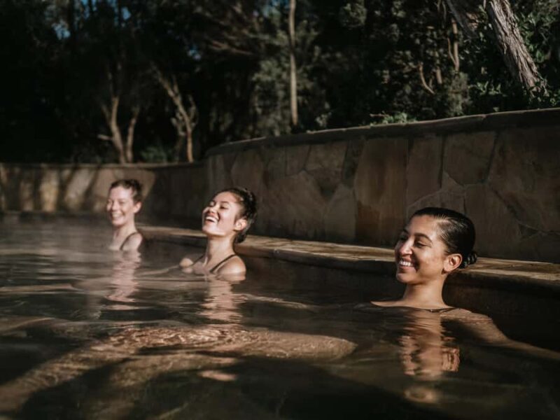 Peninsula Hot Springs: Entry Ticket with Bath House - Setting the Scene: What Peninsula Hot Springs Offers