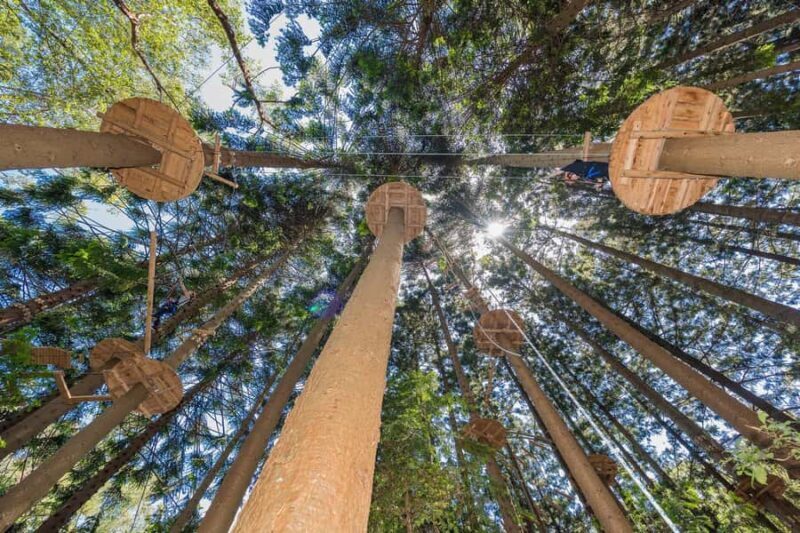 Pennant Hills: Tree Ropes Course Session - Key Points