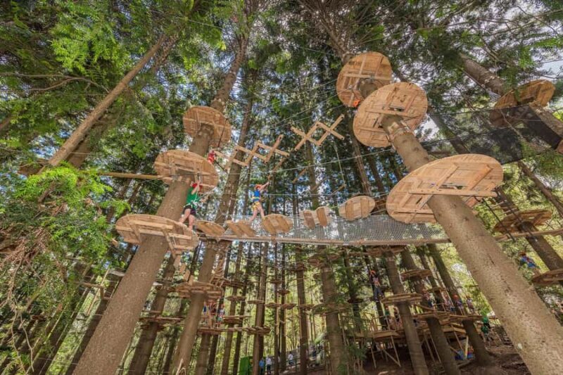 Pennant Hills: Tree Ropes Course Session - An Overview of What to Expect