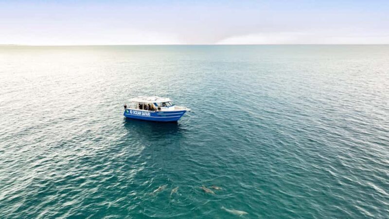 Penneshaw: Kangaroo Island Ultimate Adventure Tour - A Complete Breakdown of the Tour