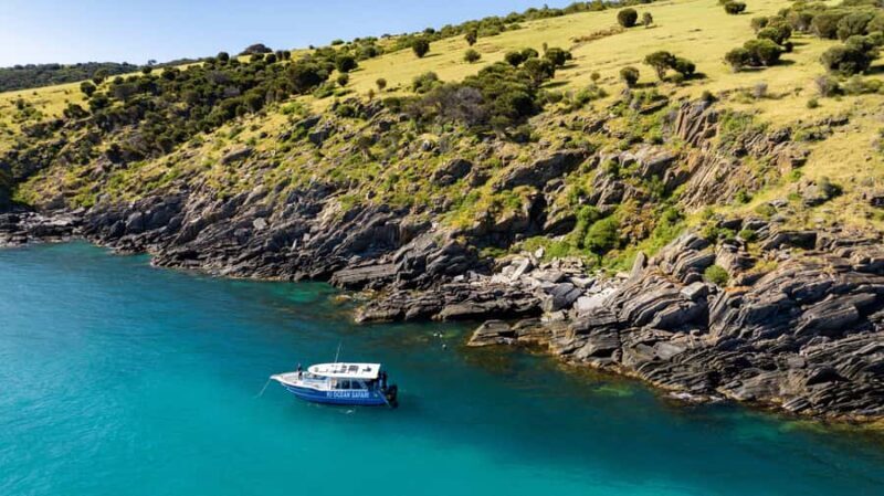 Penneshaw: Kangaroo Island Ultimate Adventure Tour - Practical Tips for Participants
