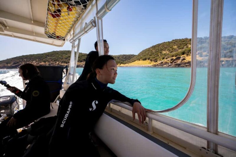 Penneshaw: Kangaroo Island Ultimate Adventure Tour - The Sum Up: Who Will Love This Tour?
