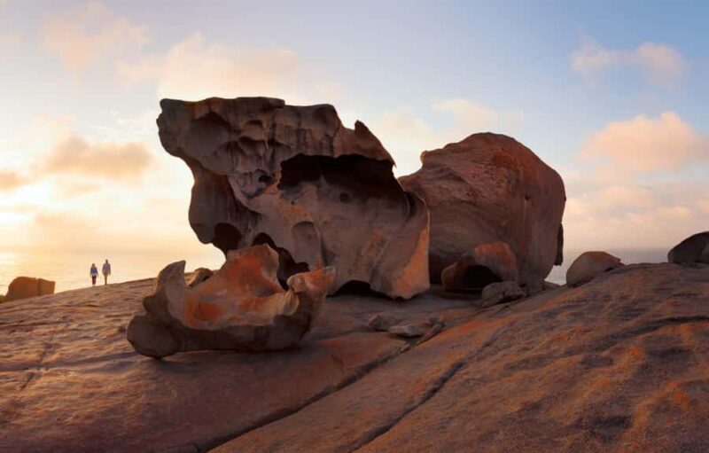 Penneshaw: Shore Excursion Kangaroo Island Scenic Tour - Key Points