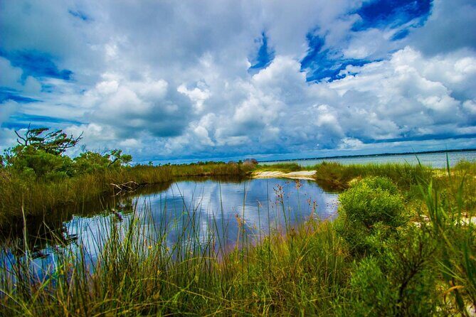 Pensacola Beach Fort Pickens Dolphin Cruise Tour - What Past Participants Say