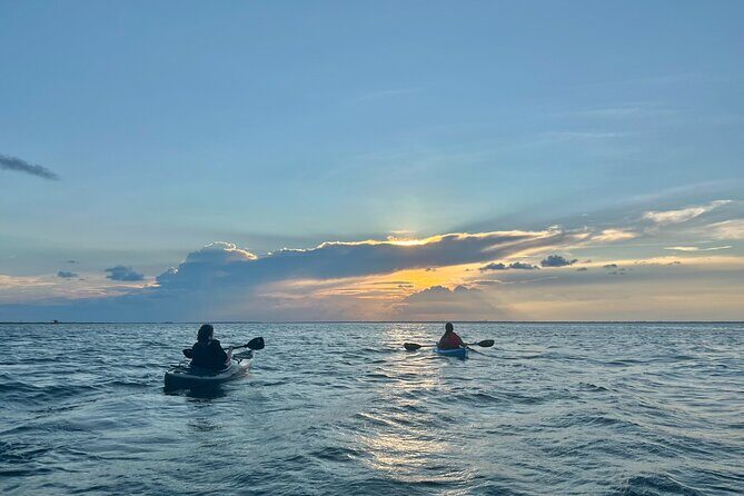 Pensacola Beach Kayak Tour - An In-Depth Look at the Pensacola Beach Kayak Tour