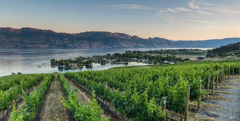 Penticton: Naramata Bench Full Day Guided Wine Tour - FAQ