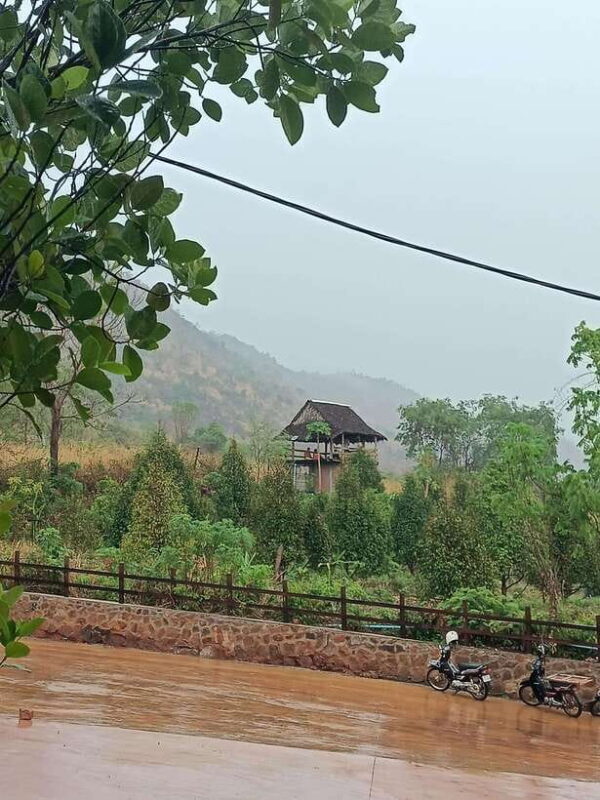 Pepper farm tour include secret lake and Kep crab market... - Final Thoughts: Who Is This Tour Best For?