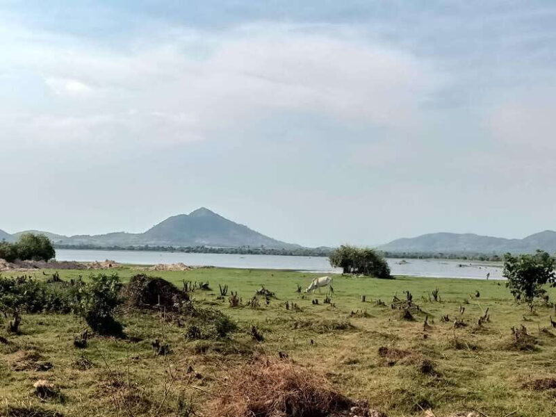 Pepper farm tour include secret lake and Kep crab market... - FAQ